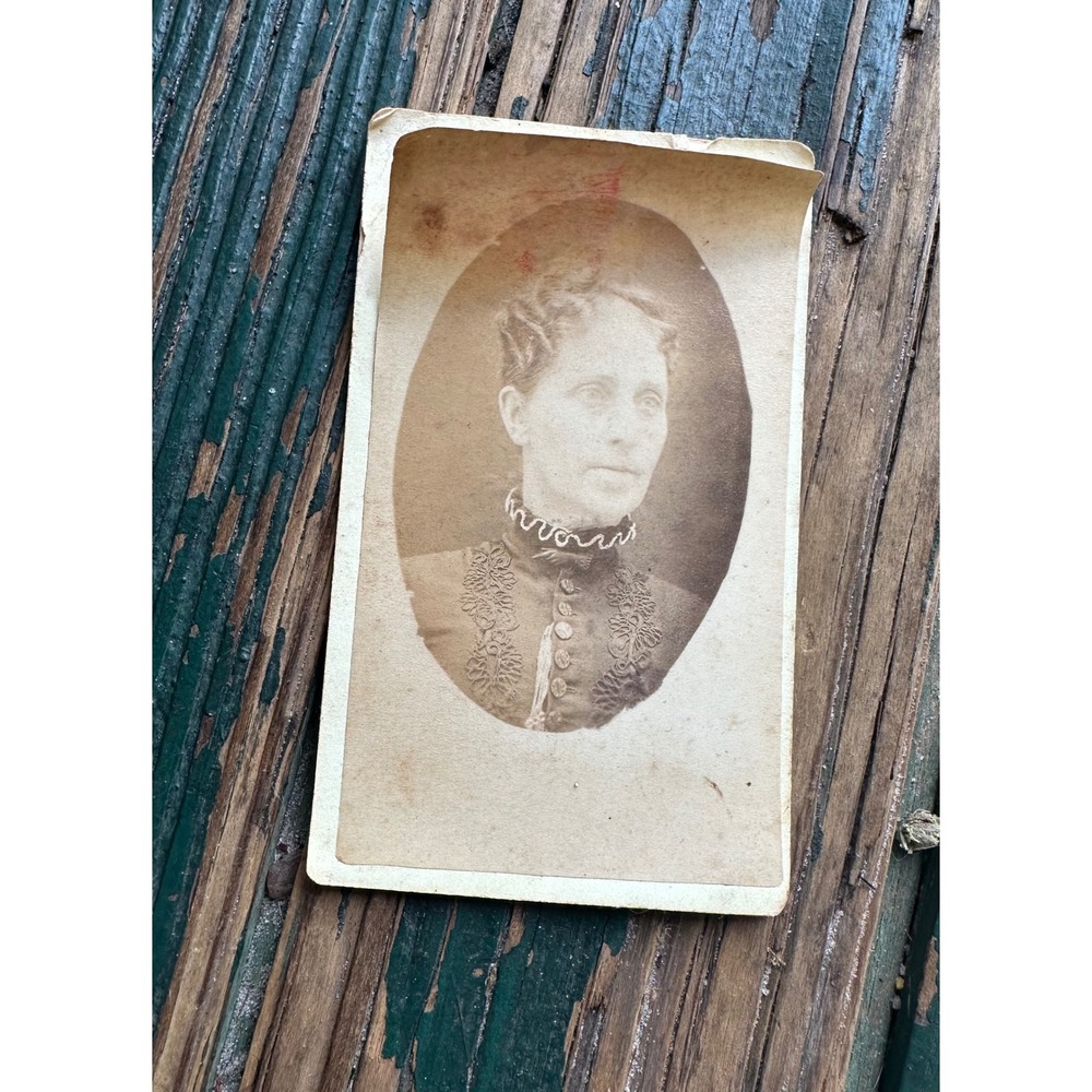 Antique Victorian CDV Portrait Woman Embroidered Dress Sepia Photo A3818